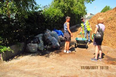 Cleaning up Sean Walsh Memorial Park