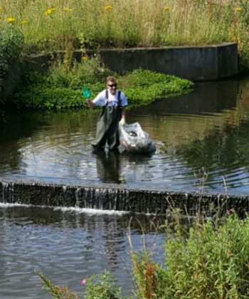 Cleaning up Whitestown Stream