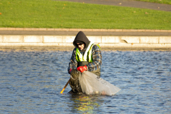 Philip in the lake