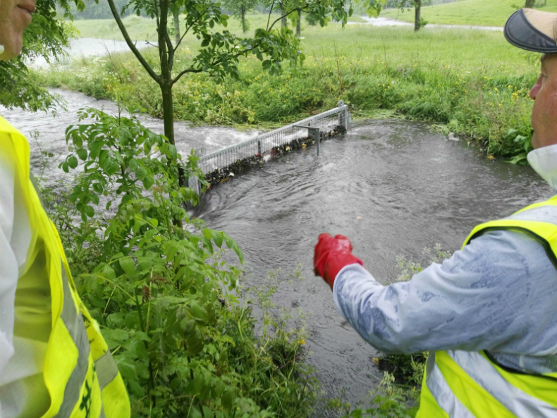 Clogged grille on Whitestown Stream in May 2017