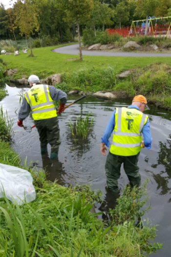 September 2017 Litter Mug clean up in Sean Walsh Park