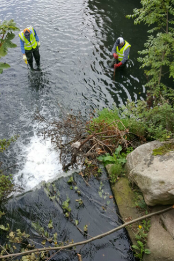 September 2017 Litter Mug clean up in Sean Walsh Park