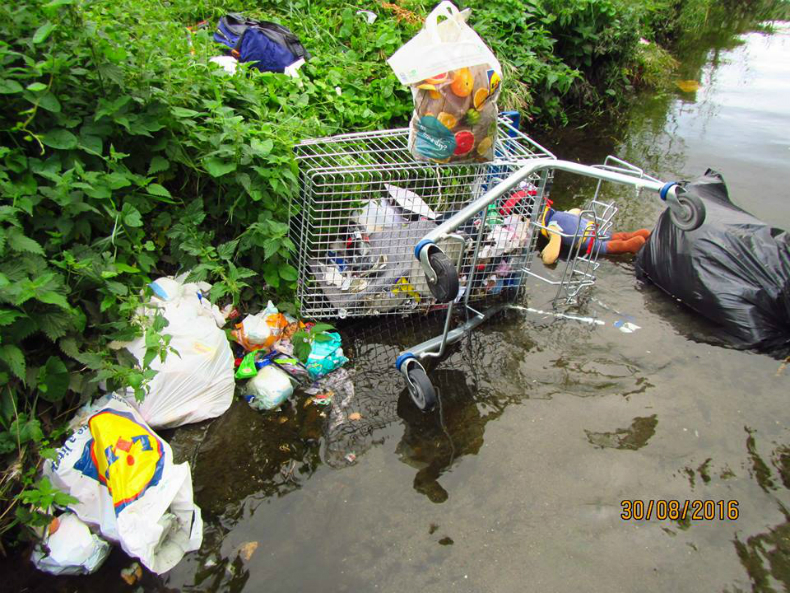 August clean-up in Sean Walsh Park