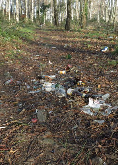 Smashed bottles in Sean Walsh Park