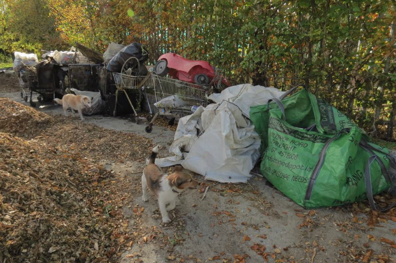 November 2016 clean up