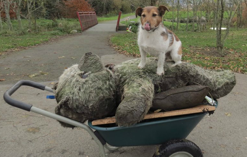 Large teddy bear found in Sean Walsh Park