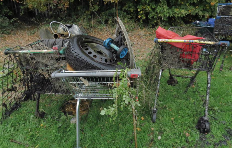 Shopping trolleys dumped in SWP