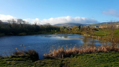 View of Dublin Mountains from Sean Walsh Park