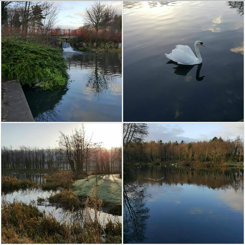 Images of the water ways in Sean Walsh Park