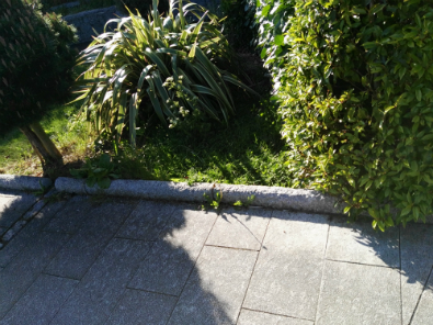 Image of the Sensory Garden before the Litter Mug clean-up in 2017