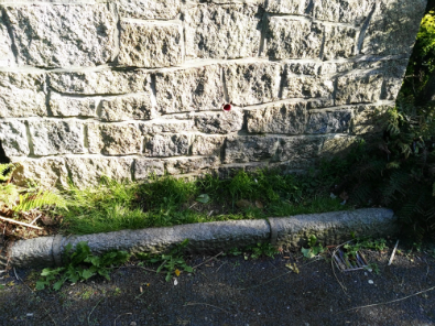 Image of the Sensory Garden before the Litter Mug clean-up in May 2017