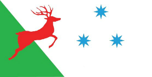 Tallaght Flag
